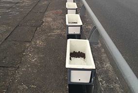 公路、橋梁綠化花盆